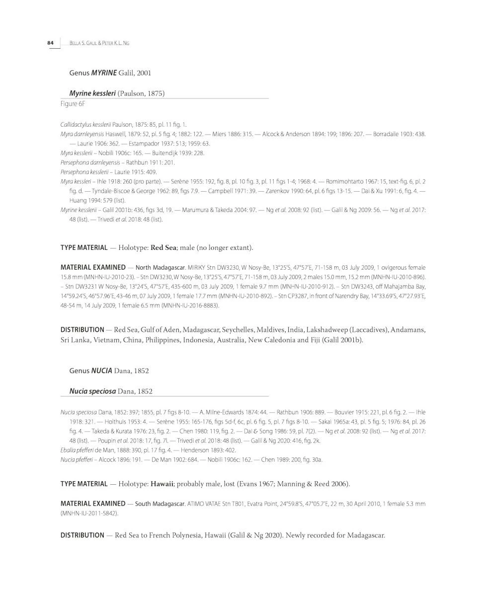 Tropical Deep-Sea Benthos, Volume 33 4 Tropical Deep-Sea Benthos, Volume 33 - Image 2