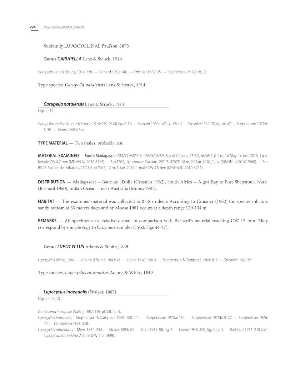 Tropical Deep-Sea Benthos, Volume 33 8 Tropical Deep-Sea Benthos, Volume 33 - Image 6