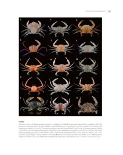 Tropical Deep-Sea Benthos, Volume 33 23 Tropical Deep-Sea Benthos, Volume 33 -Wildlife Professional Books 260267 06