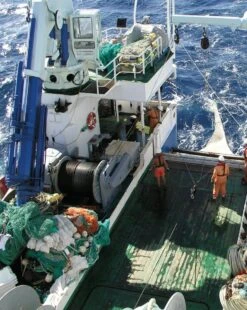 Tropical Deep-Sea Benthos, Volume 33 26 Tropical Deep-Sea Benthos, Volume 33 -Wildlife Professional Books 260267 09