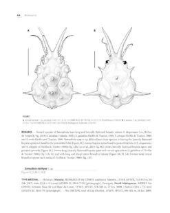 Tropical Deep-Sea Benthos, Volume 33 28 Tropical Deep-Sea Benthos, Volume 33 -Wildlife Professional Books 260267 11