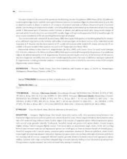 Tropical Deep-Sea Benthos, Volume 33 30 Tropical Deep-Sea Benthos, Volume 33 -Wildlife Professional Books 260267 13