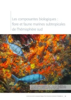 Les îles Saint-Paul Et Amsterdam (Océan Indien Sud): Environnement Marin Et Pêcheries [Saint-Paul And Amsterdam Islands (South Indian Ocean): Marine Environment And Fisheries] -Wildlife Professional Books 260268 10