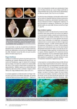 Les îles Saint-Paul Et Amsterdam (Océan Indien Sud): Environnement Marin Et Pêcheries [Saint-Paul And Amsterdam Islands (South Indian Ocean): Marine Environment And Fisheries] -Wildlife Professional Books 260268 11