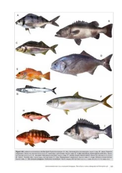 Les îles Saint-Paul Et Amsterdam (Océan Indien Sud): Environnement Marin Et Pêcheries [Saint-Paul And Amsterdam Islands (South Indian Ocean): Marine Environment And Fisheries] -Wildlife Professional Books 260268 14