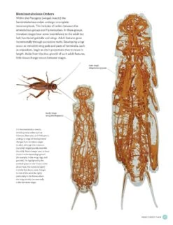 The Complete Insect -Wildlife Professional Books 260476 2