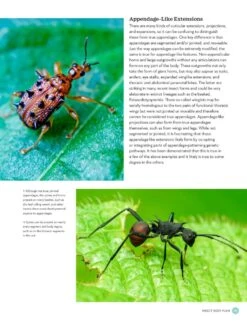 The Complete Insect -Wildlife Professional Books 260476 3