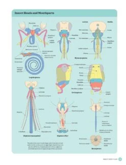 The Complete Insect -Wildlife Professional Books 260476 4