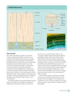 The Complete Insect -Wildlife Professional Books 260476 5
