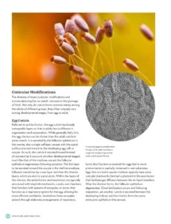 The Complete Insect -Wildlife Professional Books 260476 6