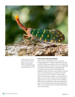 The Complete Insect -Wildlife Professional Books 260476 7