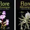 Flore Des Mascareignes, Volume 170: Orchidées (2-Volume Set) 1 Flore Des Mascareignes, Volume 170: Orchidées (2-Volume Set) -Wildlife Professional Books 260560