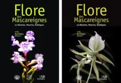 Flore Des Mascareignes, Volume 170: Orchidées (2-Volume Set)