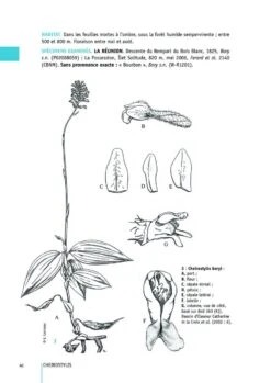 Flore Des Mascareignes, Volume 170: Orchidées (2-Volume Set) 13 Flore Des Mascareignes, Volume 170: Orchidées (2-Volume Set) -Wildlife Professional Books 260560 4