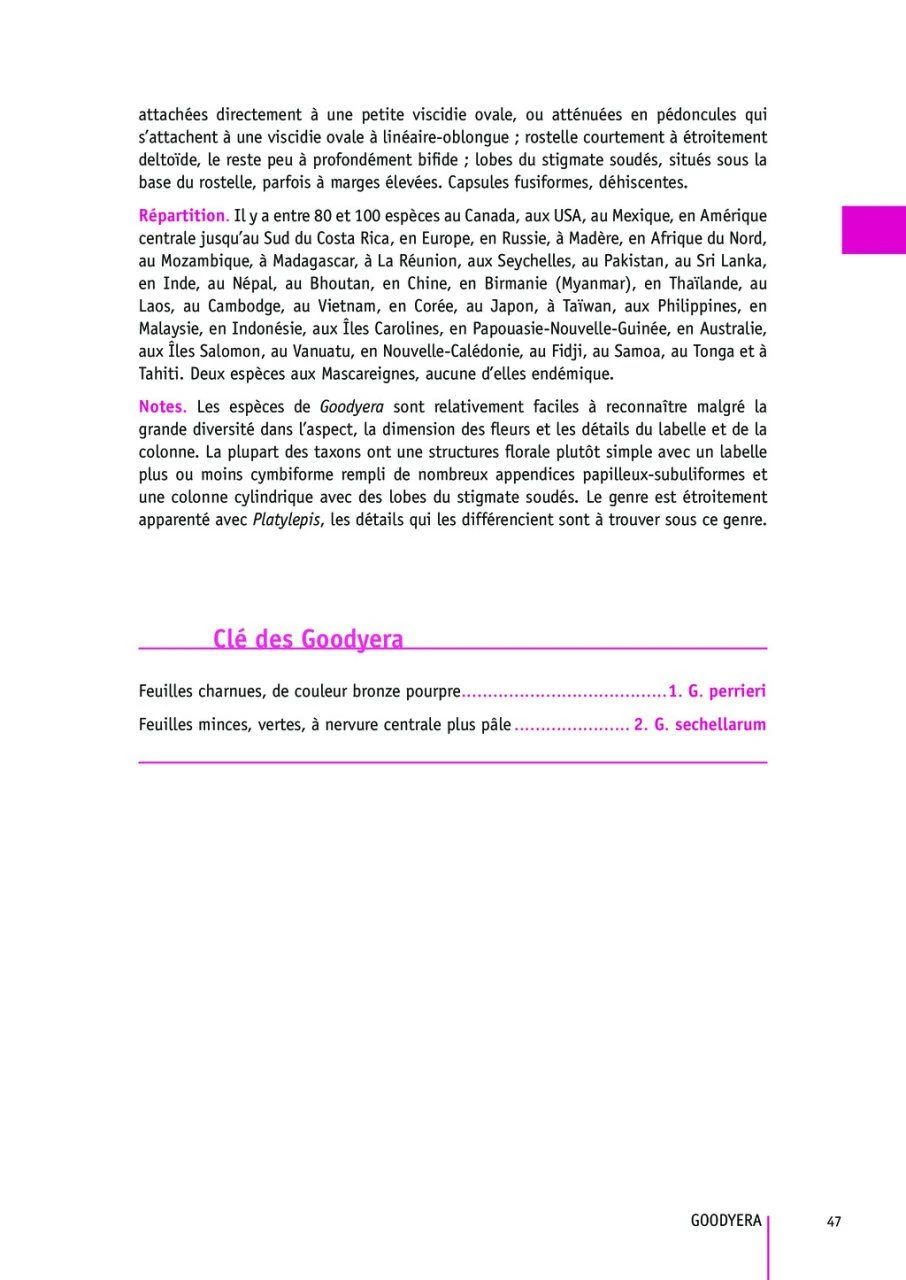 Flore Des Mascareignes, Volume 170: Orchidées (2-Volume Set) 9 Flore Des Mascareignes, Volume 170: Orchidées (2-Volume Set) - Image 7