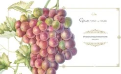 Plants Of The Qur'ān 7 Plants Of The Qur'ān -Wildlife Professional Books 260909 1