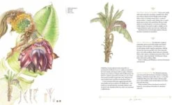 Plants Of The Qur'ān 9 Plants Of The Qur'ān -Wildlife Professional Books 260909 3