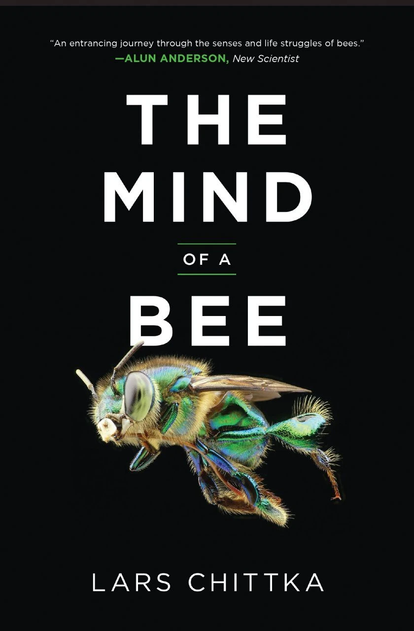 The Mind Of A Bee 7 The Mind Of A Bee - Image 5