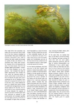 Aquatic Plants Of Northern And Central Europe Including Britain And Ireland 20 Aquatic Plants Of Northern And Central Europe Including Britain And Ireland -Wildlife Professional Books 261155 03