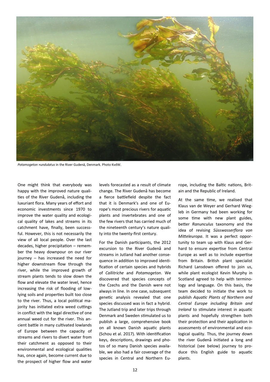 Aquatic Plants Of Northern And Central Europe Including Britain And Ireland 6 Aquatic Plants Of Northern And Central Europe Including Britain And Ireland - Image 4