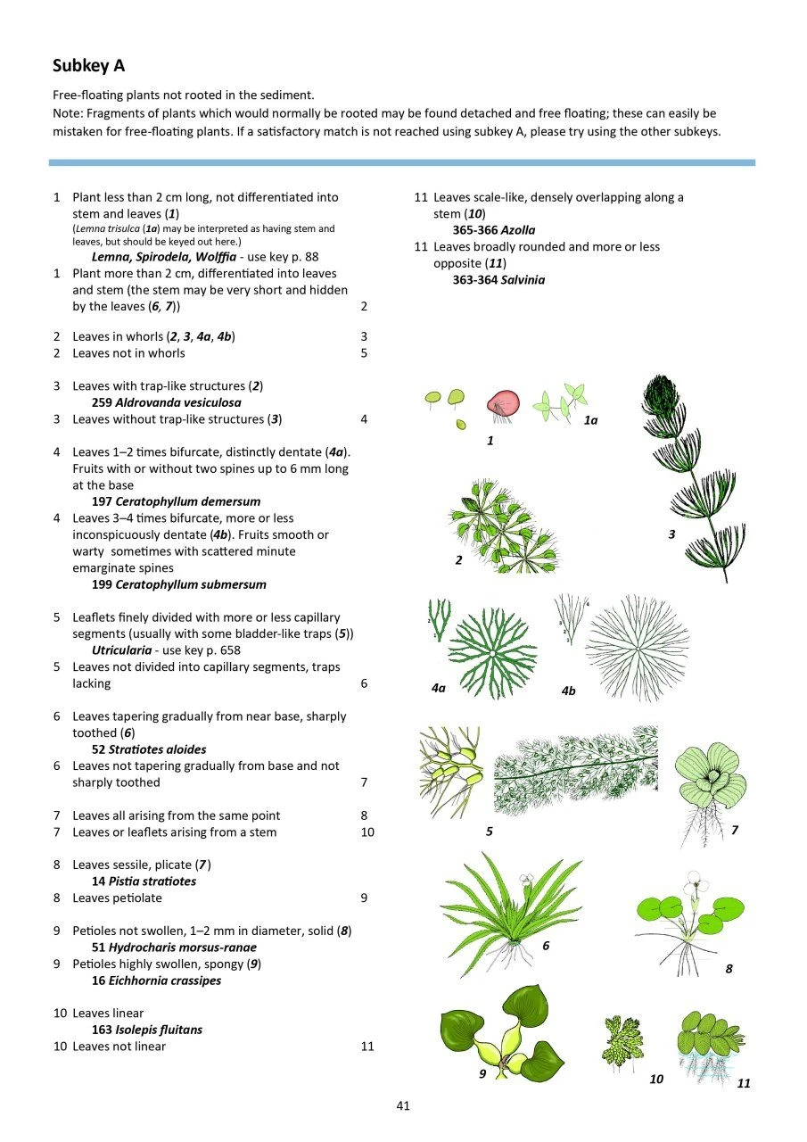 Aquatic Plants Of Northern And Central Europe Including Britain And Ireland 9 Aquatic Plants Of Northern And Central Europe Including Britain And Ireland - Image 7