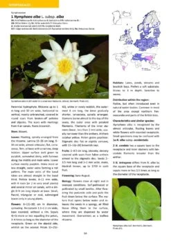 Aquatic Plants Of Northern And Central Europe Including Britain And Ireland 24 Aquatic Plants Of Northern And Central Europe Including Britain And Ireland -Wildlife Professional Books 261155 07