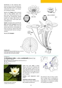 Aquatic Plants Of Northern And Central Europe Including Britain And Ireland 25 Aquatic Plants Of Northern And Central Europe Including Britain And Ireland -Wildlife Professional Books 261155 08
