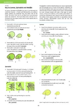 Aquatic Plants Of Northern And Central Europe Including Britain And Ireland 28 Aquatic Plants Of Northern And Central Europe Including Britain And Ireland -Wildlife Professional Books 261155 11