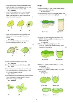 Aquatic Plants Of Northern And Central Europe Including Britain And Ireland 29 Aquatic Plants Of Northern And Central Europe Including Britain And Ireland -Wildlife Professional Books 261155 12