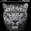 All The Mammals Of The World 2 All The Mammals Of The World -Wildlife Professional Books 261235