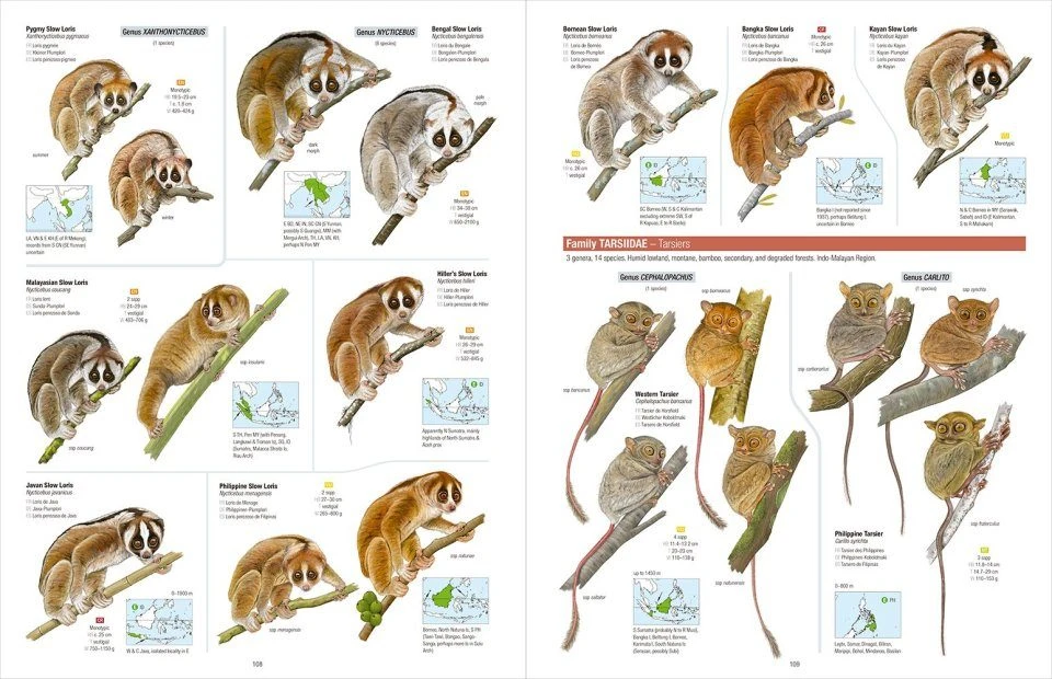 All The Mammals Of The World 4 All The Mammals Of The World - Image 2