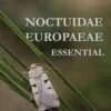 Noctuidae Europaeae Essential 2 Noctuidae Europaeae Essential -Wildlife Professional Books 261255