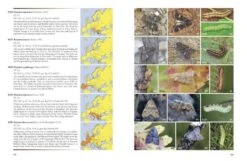 Noctuidae Europaeae Essential 10 Noctuidae Europaeae Essential -Wildlife Professional Books 261255 3