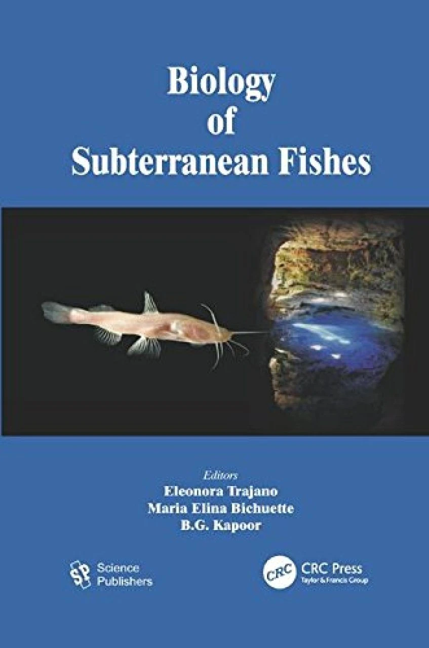 Biology Of Subterranean Fishes 4 Biology Of Subterranean Fishes - Image 2