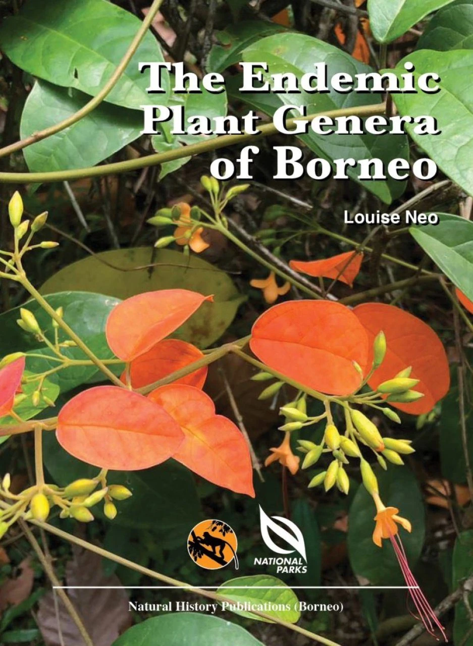 The Endemic Plant Genera Of Borneo 3 The Endemic Plant Genera Of Borneo