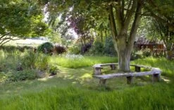 The Essential Tree Selection Guide -Wildlife Professional Books 262033 02