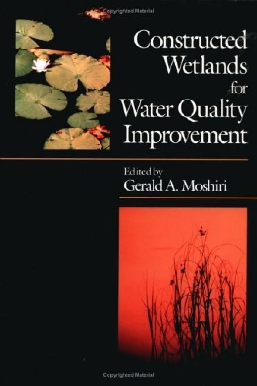 Constructed Wetlands For Water Quality Improvement 3 Constructed Wetlands For Water Quality Improvement