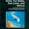 Seals, Fur Seals, Sea Lions And Walrus 2 Seals, Fur Seals, Sea Lions And Walrus -Wildlife Professional Books 30848