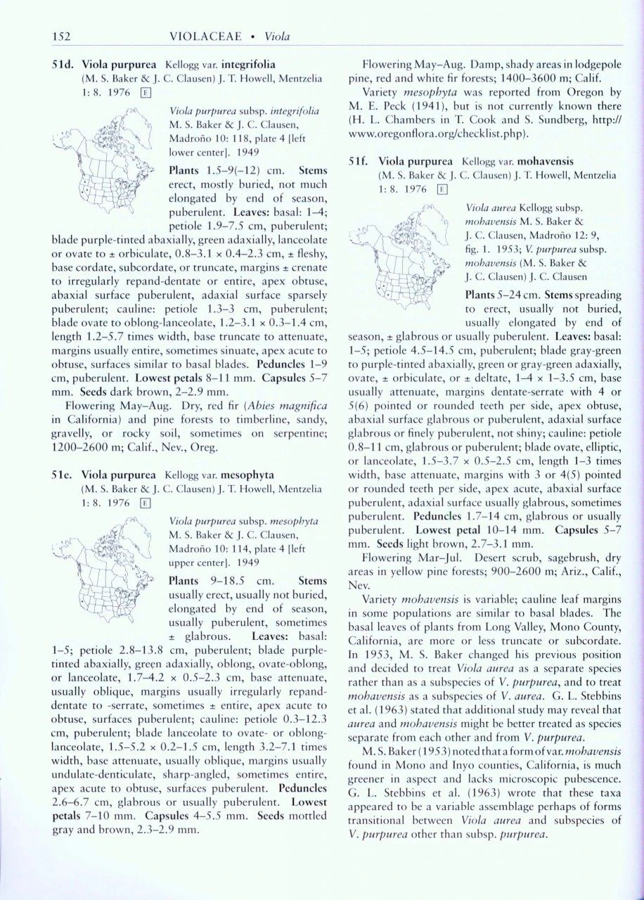 Flora Of North America North Of Mexico, Volume 6: Magnoliophyta: Cucurbitaceae To Droserceae 5 Flora Of North America North Of Mexico, Volume 6: Magnoliophyta: Cucurbitaceae To Droserceae - Image 3