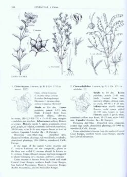 Flora Of North America North Of Mexico, Volume 6: Magnoliophyta: Cucurbitaceae To Droserceae 11 Flora Of North America North Of Mexico, Volume 6: Magnoliophyta: Cucurbitaceae To Droserceae -Wildlife Professional Books 32823 4