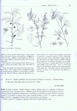 Flora Of North America North Of Mexico, Volume 9: Magnoliophyta: Picramniaceae To Rosaceae -Wildlife Professional Books 32826 3