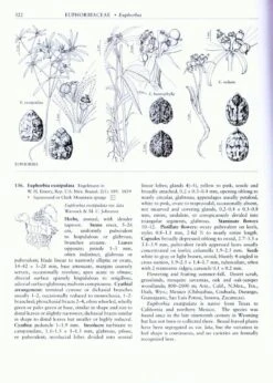 Flora Of North America North Of Mexico, Volume 12: Magnoliophyta: Vitaceae To Garryaceae 9 Flora Of North America North Of Mexico, Volume 12: Magnoliophyta: Vitaceae To Garryaceae -Wildlife Professional Books 32830 3