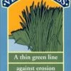 Vetiver Grass: A Thin Green Line Against Erosion 2 Vetiver Grass: A Thin Green Line Against Erosion -Wildlife Professional Books 38868