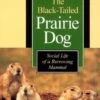 The Black-Tailed Prairie Dog 2 The Black-Tailed Prairie Dog -Wildlife Professional Books 39426