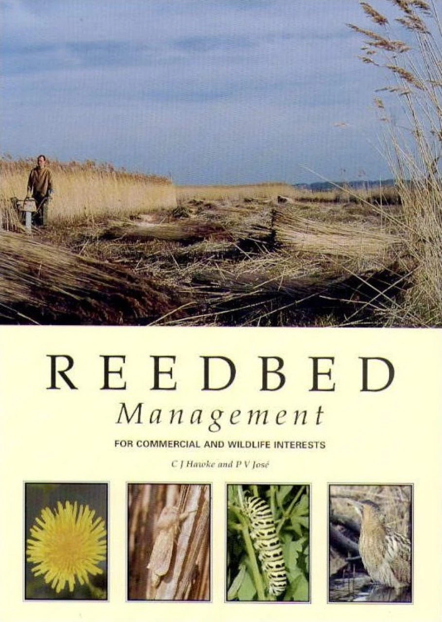 Reedbed Management For Commercial And Wildlife Interests 3 Reedbed Management For Commercial And Wildlife Interests