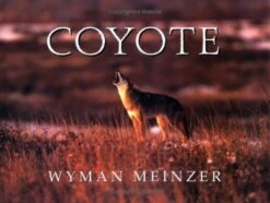 Coyote -Wildlife Professional Books 48862