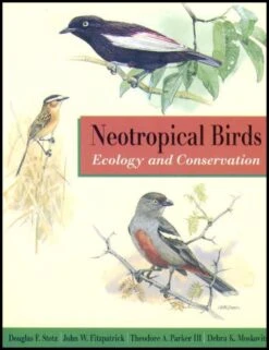 Neotropical Birds