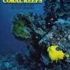 Red Sea Coral Reefs 2 Red Sea Coral Reefs -Wildlife Professional Books 5303