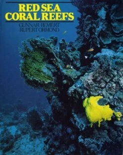 Red Sea Coral Reefs