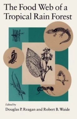 The Food Web Of A Tropical Rain Forest